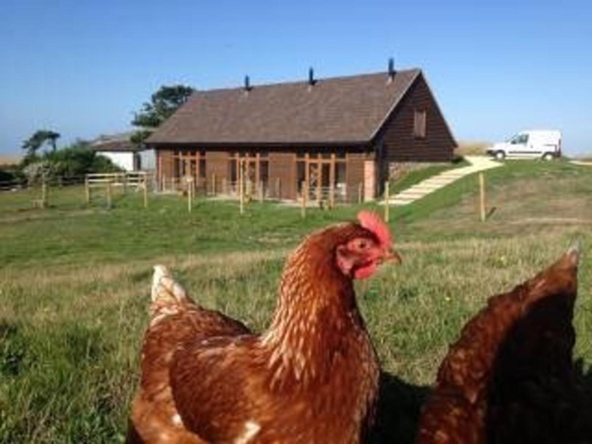 Surf Shack - Impeccable 1-Bed Cottage In Shorwell Esterno foto