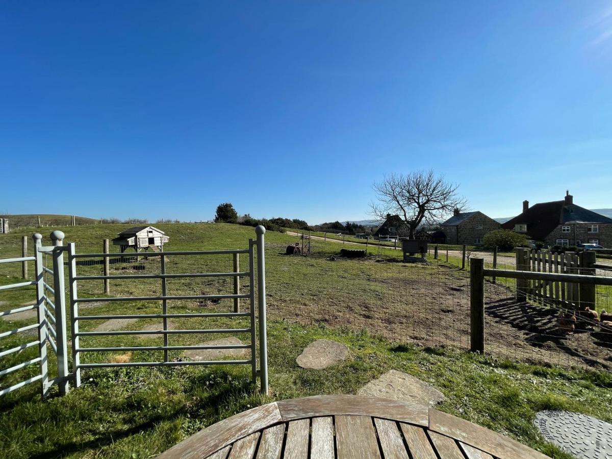 Surf Shack - Impeccable 1-Bed Cottage In Shorwell Esterno foto