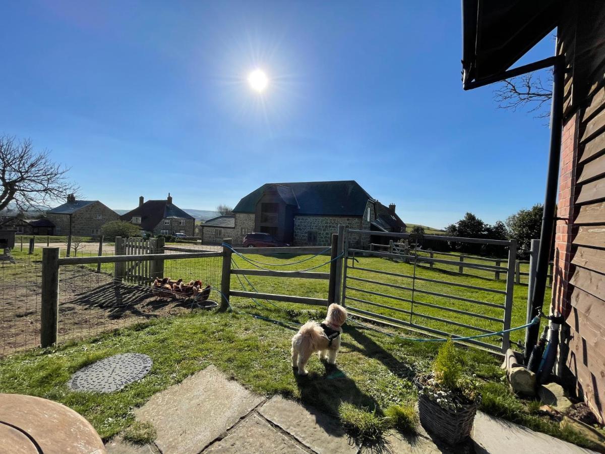 Surf Shack - Impeccable 1-Bed Cottage In Shorwell Esterno foto