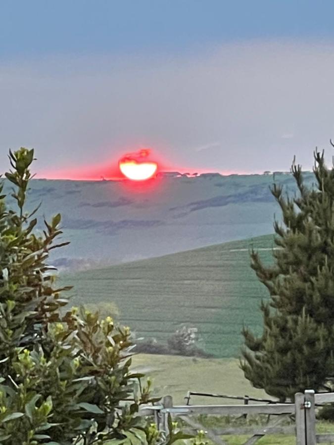 Surf Shack - Impeccable 1-Bed Cottage In Shorwell Esterno foto